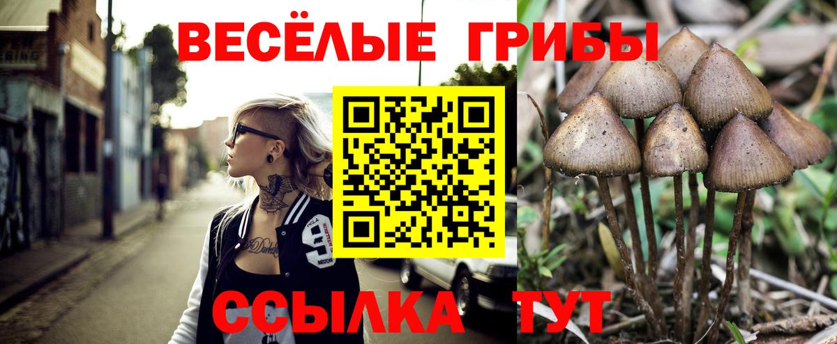 Галлюциногенные грибы ЛСД  Псилоцибиновые грибы GOLDEN TEACHER  Вход с VPN  Новокубанск 